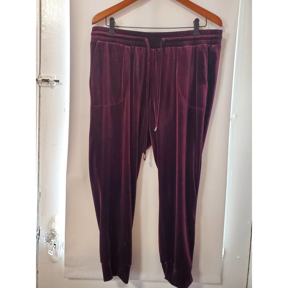 Torrid Joggers in Purple Velvet, Size 1